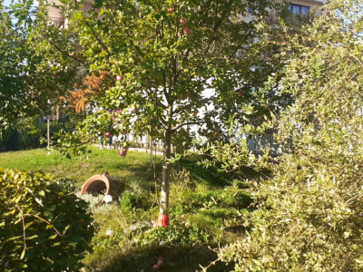 Apartamente de vanzare Cluj-Napoca Borhanci imagine mica 3