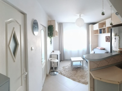 Apartament 27,50 mp Plopilor cu 1 dormitor separat