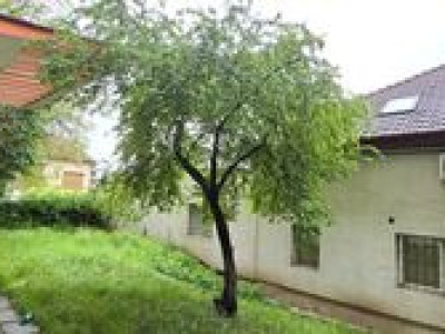 Spatii birouri de vanzare Cluj-Napoca Grigorescu / Fantanele imagine mica 6