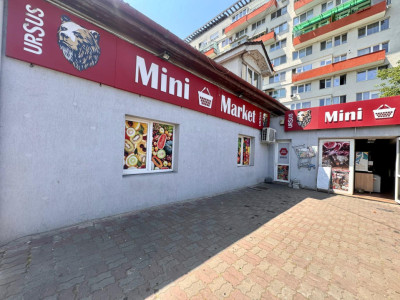 Spatii birouri de vanzare Cluj-Napoca Grigorescu / Fantanele imagine mica 2