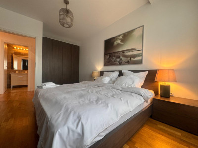 Apartamente de inchiriat Cluj-Napoca Intre Lacuri / Iulius Mall imagine mica 2