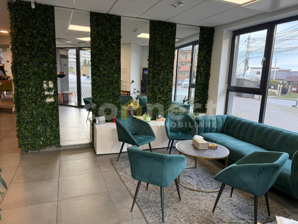 Spatii birouri de inchiriat Cluj-Napoca Europa / Eugen Ionesco 1