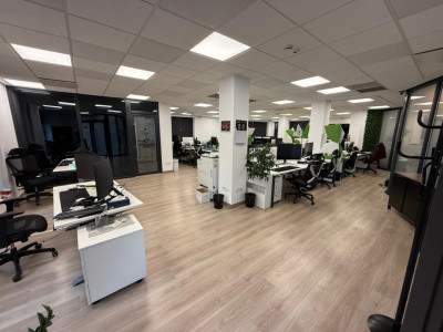 Spatii birouri de inchiriat Cluj-Napoca Europa / Eugen Ionesco imagine mica 2