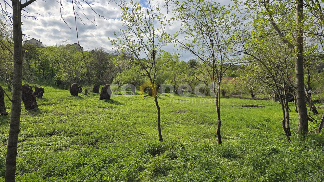 Terenuri de vanzare Ciurila Central 1