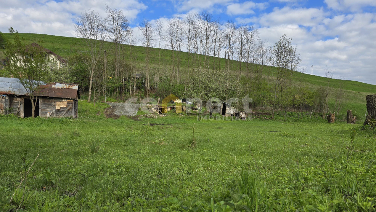 Terenuri de vanzare Ciurila Central 3