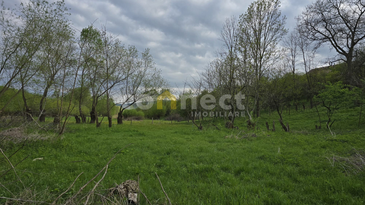 Terenuri de vanzare Ciurila Central 5