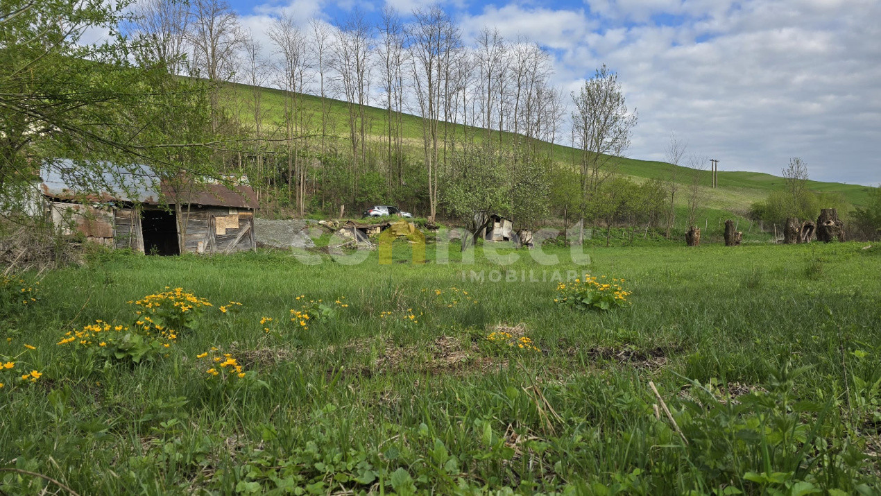 Terenuri de vanzare Ciurila Central 6