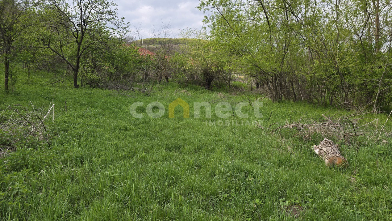 Terenuri de vanzare Ciurila Central 7