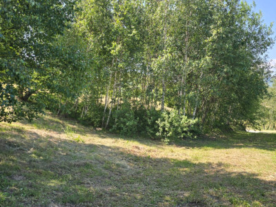 Terenuri de vanzare Ciurila Central imagine mica 4