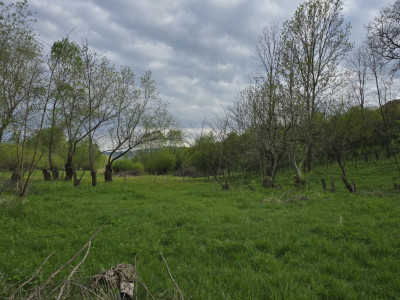 Terenuri de vanzare Ciurila Central imagine mica 5