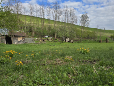 Terenuri de vanzare Ciurila Central imagine mica 6