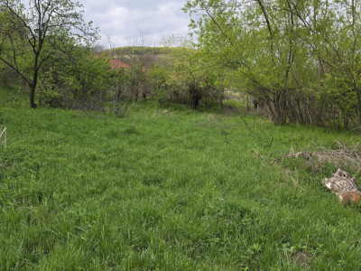 Terenuri de vanzare Ciurila Central imagine mica 7