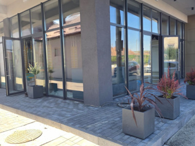 Spatii birouri de inchiriat Cluj-Napoca Someseni / Traian Vuia imagine mica 16