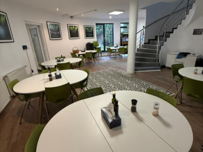 Spatii birouri de inchiriat Cluj-Napoca Europa / Eugen Ionesco imagine mica 7