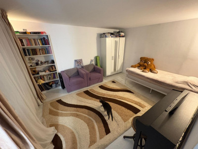 Case de vanzare Cluj-Napoca Centru / Calea Motilor imagine mica 2