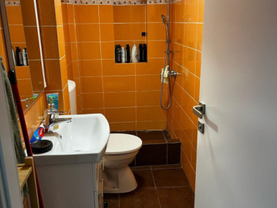 Case de vanzare Cluj-Napoca Centru / Calea Motilor imagine mica 8