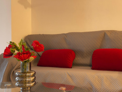 Apartamente de inchiriat Cluj-Napoca Plopilor imagine mica 16