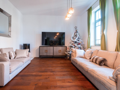 Case de vanzare Cluj-Napoca Andrei Muresanu imagine mica 3