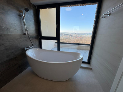 Case de inchiriat Cluj-Napoca Europa imagine mica 8