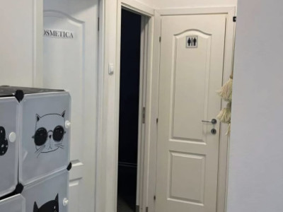 Spatii comerciale de inchiriat Cluj-Napoca Someseni / Traian Vuia imagine mica 8