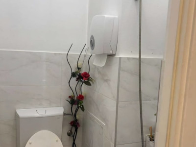 Spatii comerciale de inchiriat Cluj-Napoca Someseni / Traian Vuia imagine mica 9