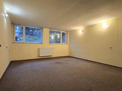 Case de inchiriat Cluj-Napoca Buna-Ziua imagine mica 7