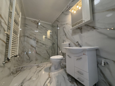 Case de inchiriat Floresti Avram Iancu imagine mica 3