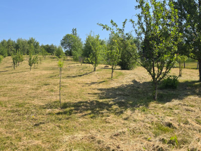 Terenuri de vanzare Cluj-Napoca Faget / Salicea imagine mica 4