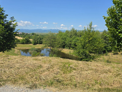 Terenuri de vanzare Cluj-Napoca Faget / Salicea imagine mica 7