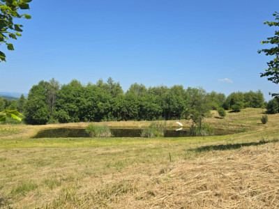 Terenuri de vanzare Salicea Est imagine mica 2