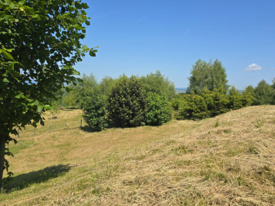 Terenuri de vanzare Salicea Est imagine mica 6