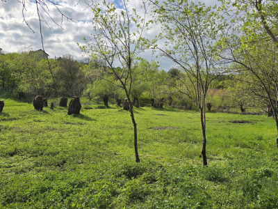 De vânzare teren superb în Ciurila ~ 5000 mp de liniște, verdeață și potențial