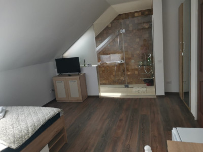 Case de inchiriat Cluj-Napoca Iris imagine mica 8