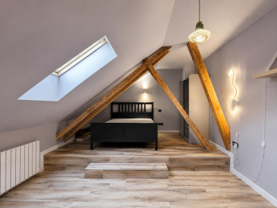 Apartamente de inchiriat Cluj-Napoca Centru / Republicii imagine mica 5