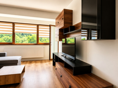 Apartamente de inchiriat Floresti Valea Garbaului imagine mica 2