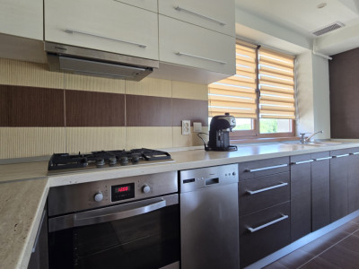 Apartamente de inchiriat Floresti Valea Garbaului imagine mica 10