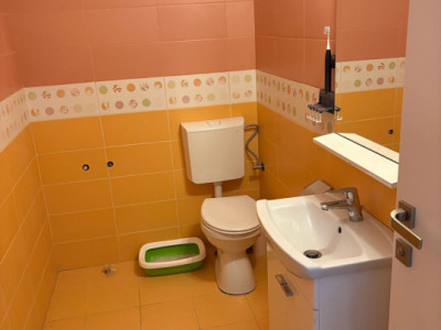 Case de vanzare Cluj-Napoca Centru / Calea Motilor imagine mica 9