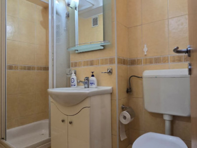 Apartamente de inchiriat Cluj-Napoca Centru imagine mica 9