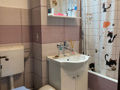 Apartamente de inchiriat Cluj-Napoca imagine mica 6